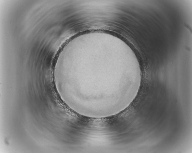 X0000103950832200810031343