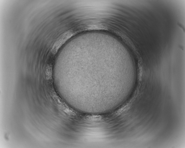 X0000103950833200810031343