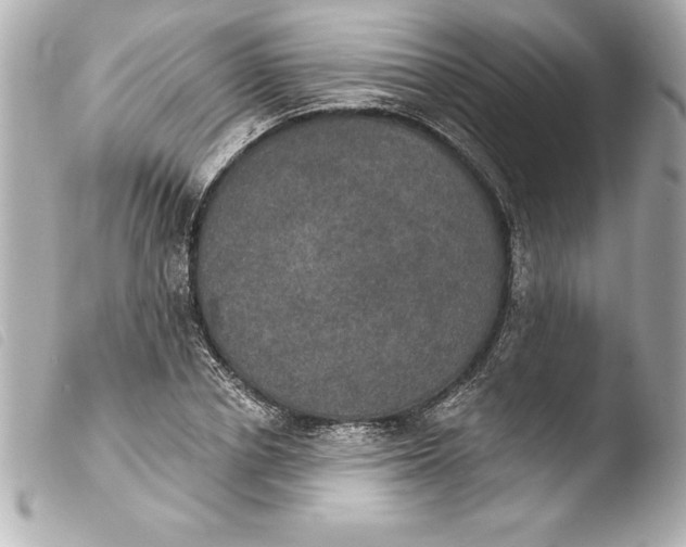 X0000103950834200810031343