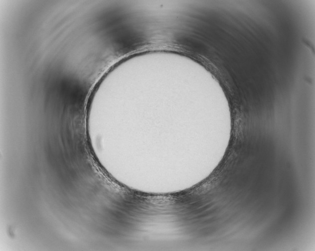 X0000103950836200810031343