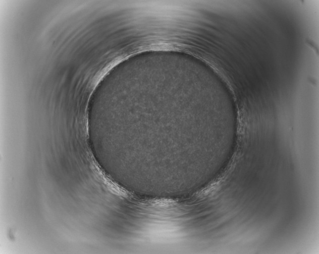 X0000103950837200810031343