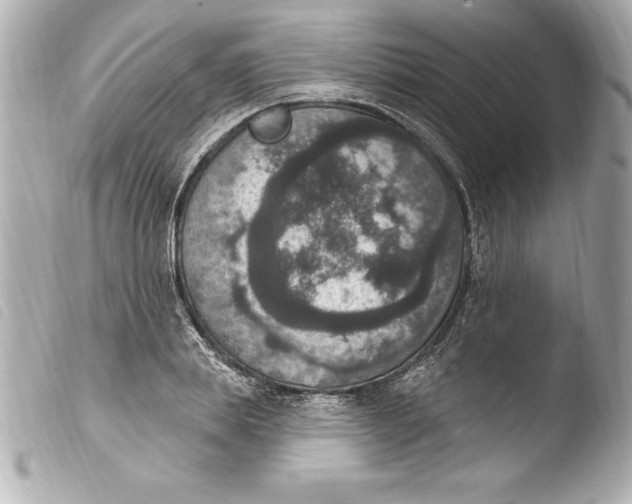 X0000103950839200810031343