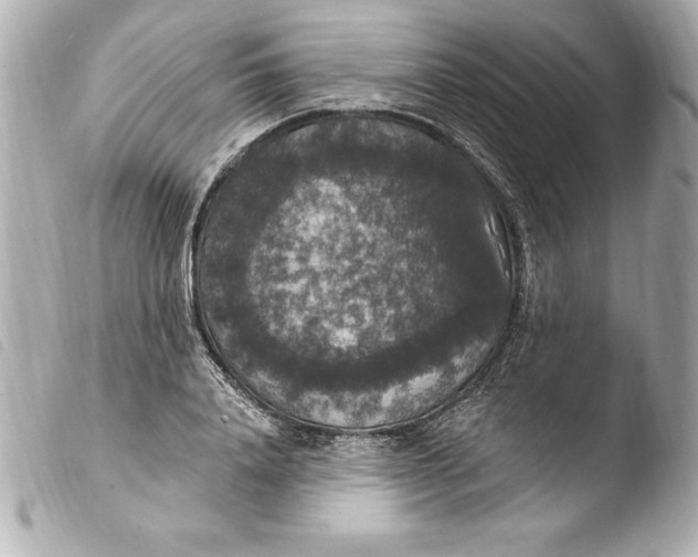 X0000103950840200810031343