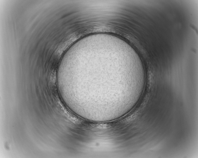 X0000103950841200810031343