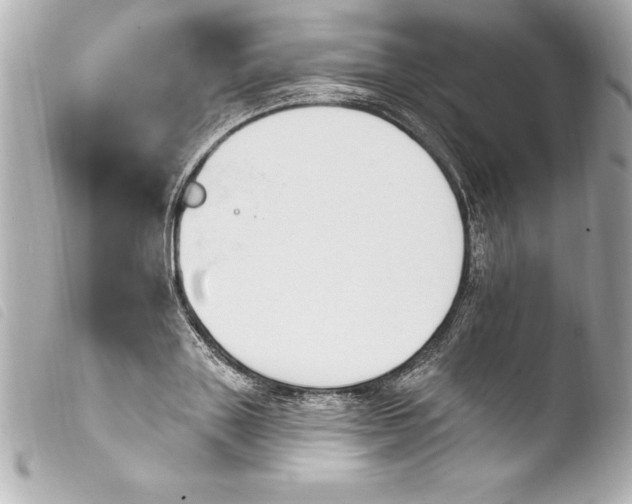 X0000103950843200810031343