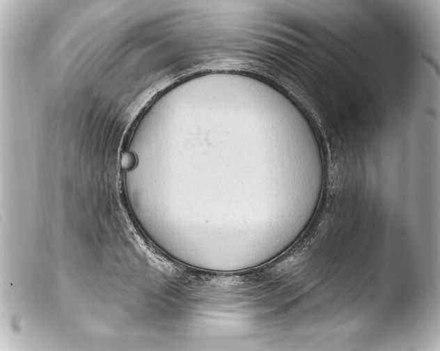 X0000103950845200810031343