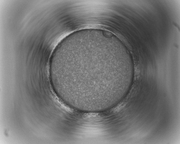 X0000103950846200810031343