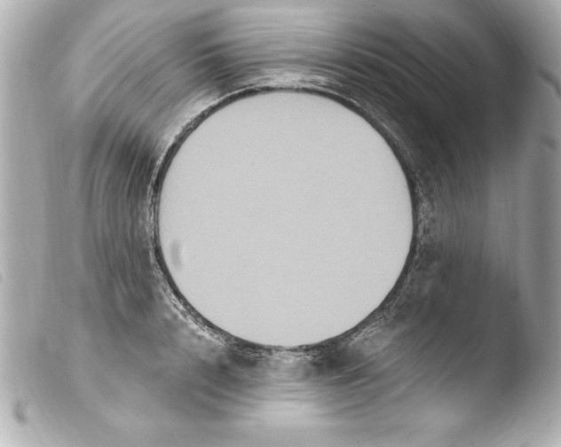 X0000103950848200810031344