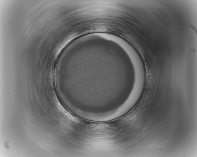 X0000103950851200810031344