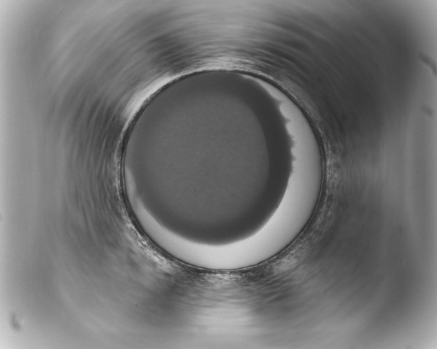 X0000103950854200810031344