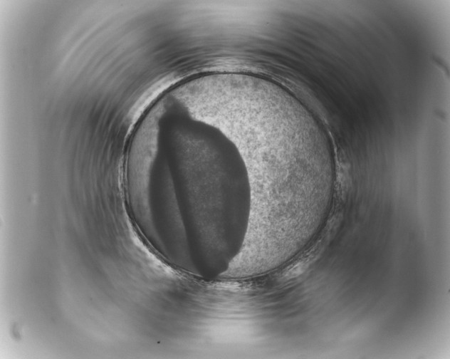 X0000103950855200810031344