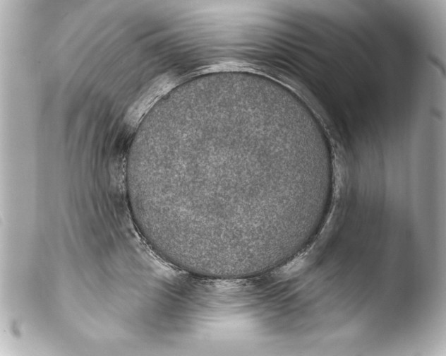 X0000103950857200810031344