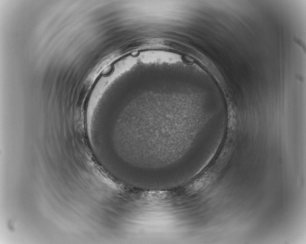 X0000103950858200810031344