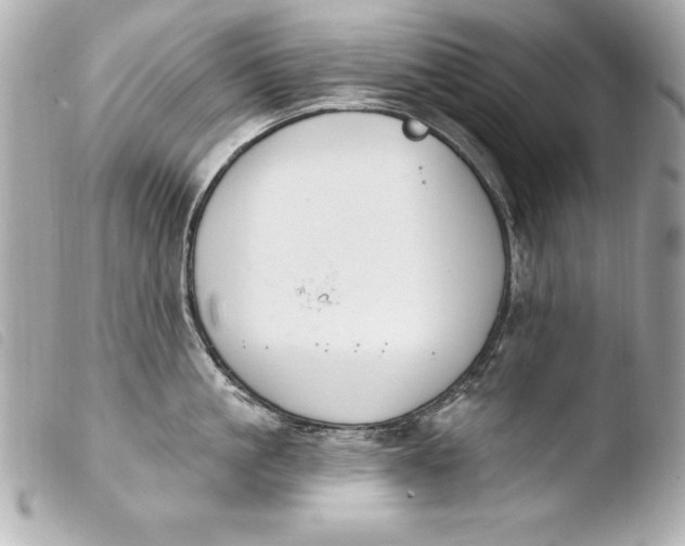 X0000103950861200810031344