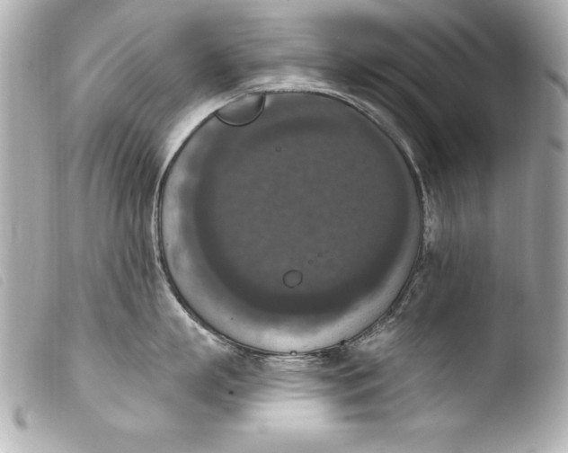 X0000103950863200810031344