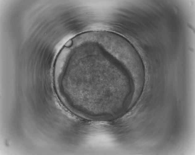 X0000103950864200810031344