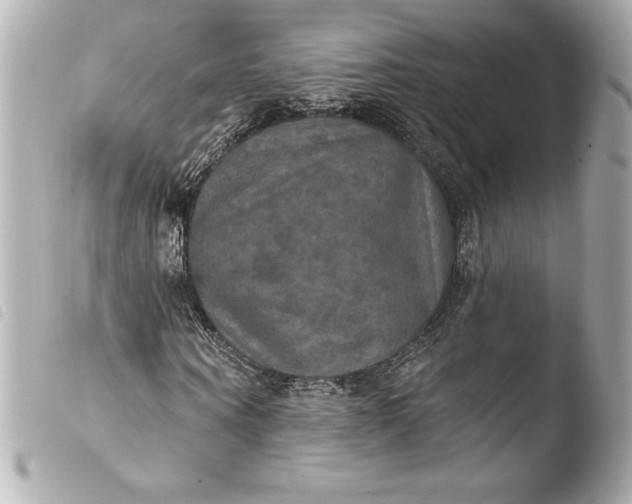 X0000103950866200810031343