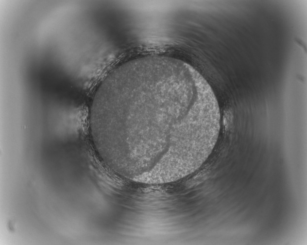 X0000103950867200810031343