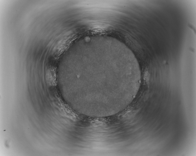 X0000103950868200810031343