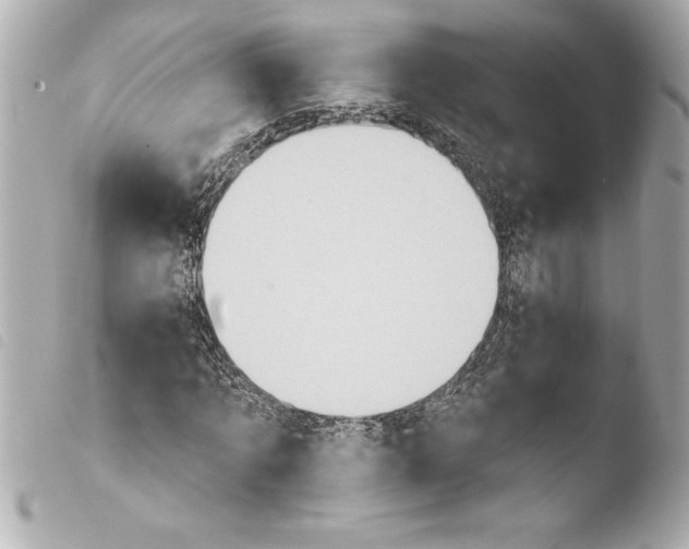 X0000103950869200810031343