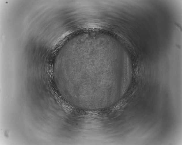 X0000103950870200810031343