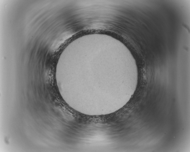 X0000103950872200810031343