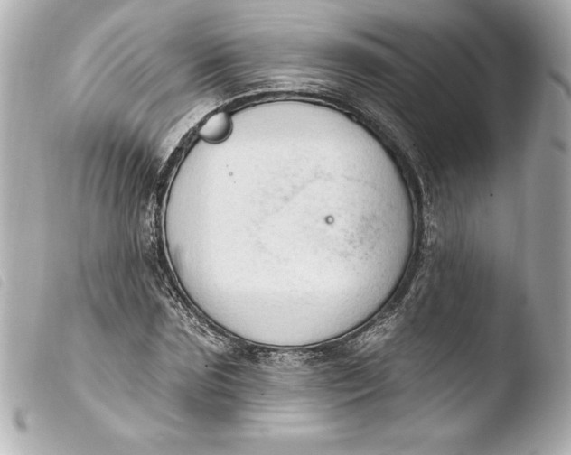 X0000103950875200810031343