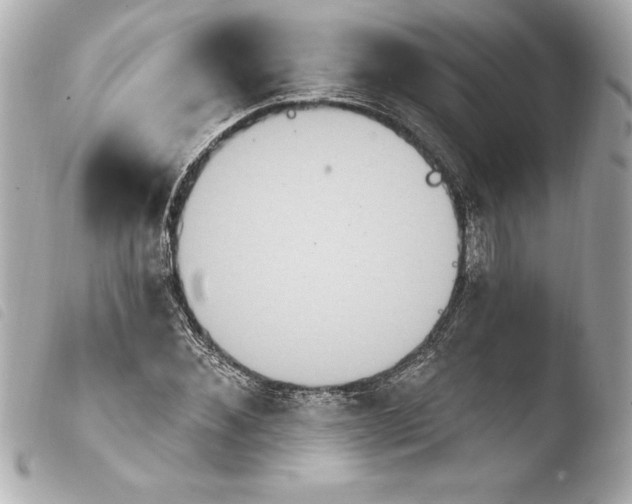 X0000103950876200810031343