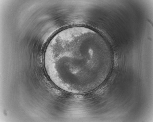 X0000103950878200810031343