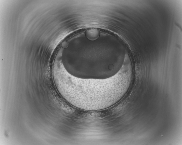 X0000103950879200810031343