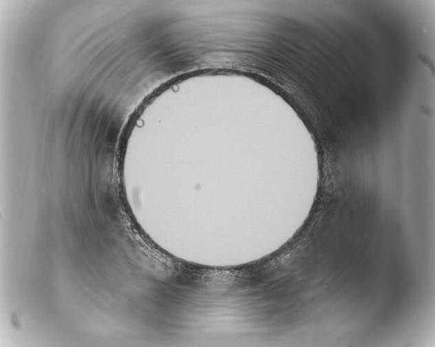 X0000103950880200810031343