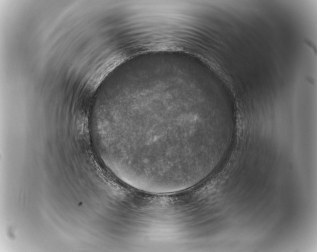 X0000103950881200810031343