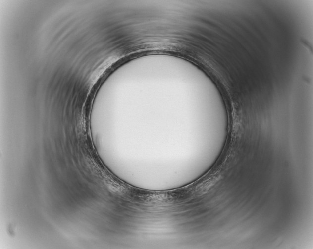 X0000103950883200810031343