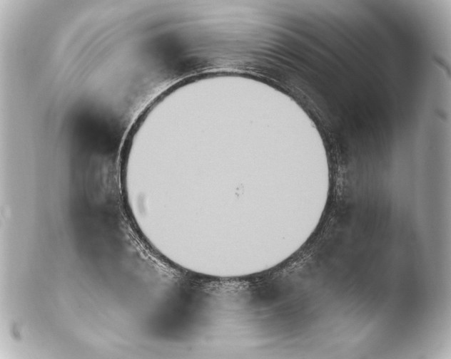 X0000103950884200810031343