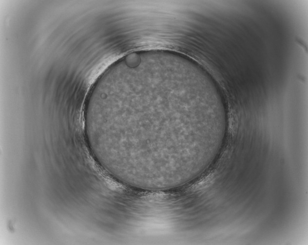 X0000103950885200810031343