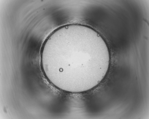 X0000103950888200810031343