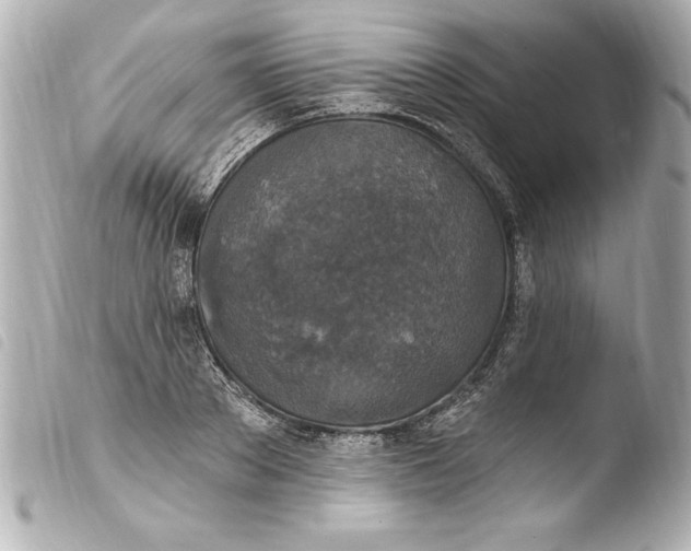 X0000103950889200810031343