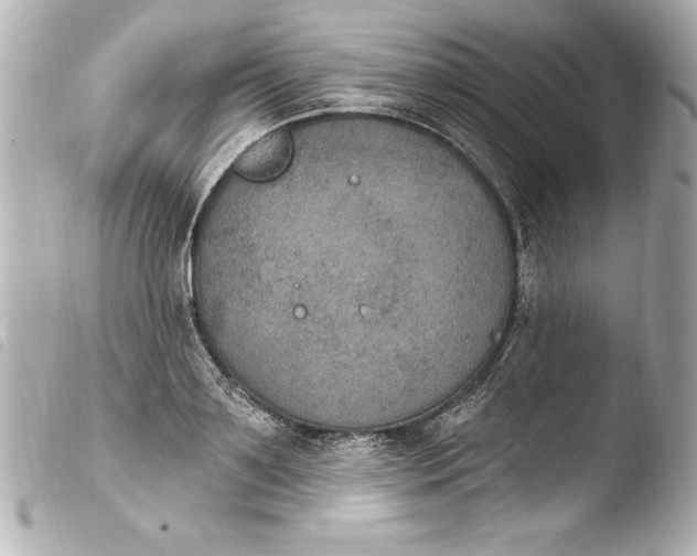 X0000103950891200810031343