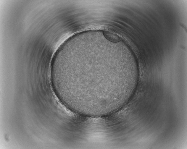 X0000103950894200810031343