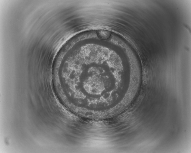 X0000103950895200810031342