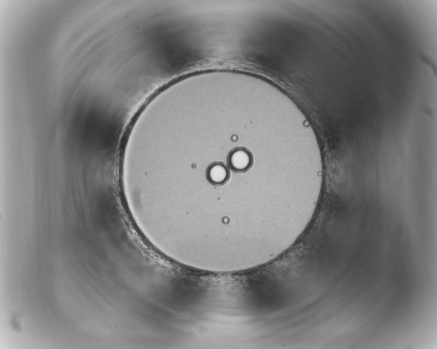 X0000103950896200810031342