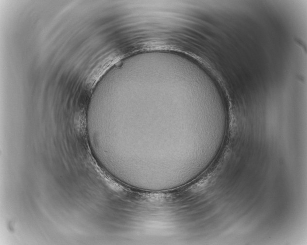 X0000103950897200810031342