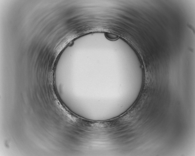 X0000103950898200810031342