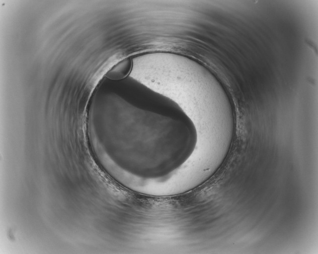 X0000103950899200810031342