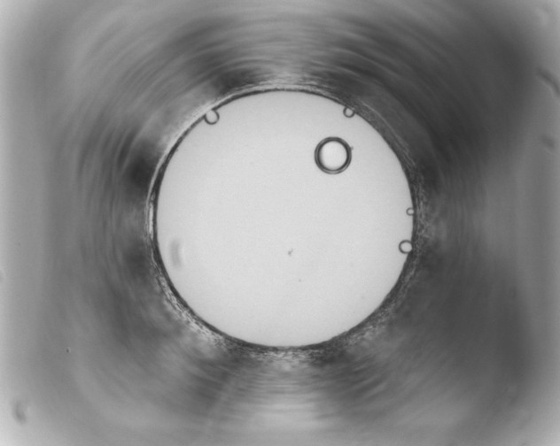 X0000103950900200810031342