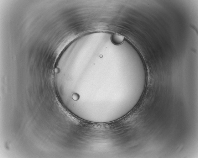 X0000103950901200810031342