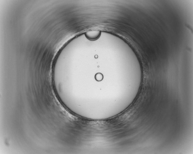 X0000103950902200810031342