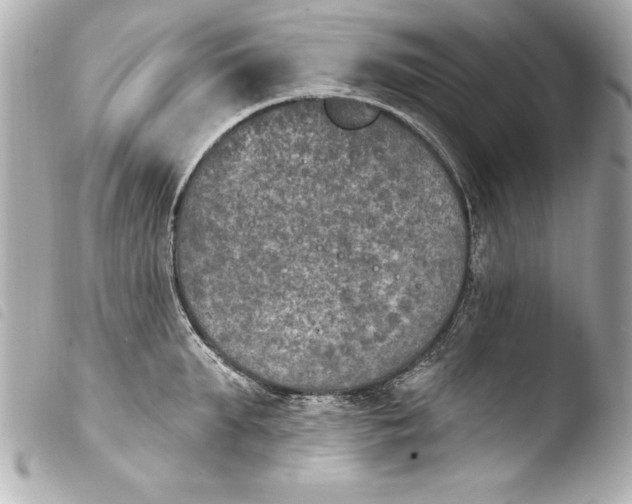 X0000103950903200810031342