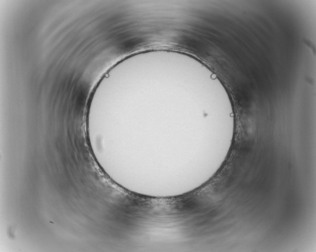 X0000103950904200810031342