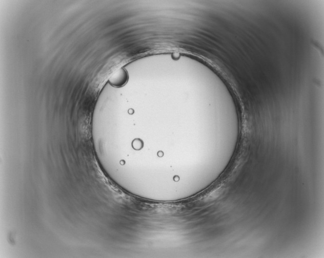 X0000103950905200810031342